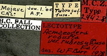Media type: image;   Entomology 24428 Aspect: labels